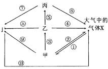 生態(tài)系統(tǒng)碳循環(huán)分析 光合作用、化能合成作用與海洋生物活性物質(zhì)提取的關(guān)聯(lián)